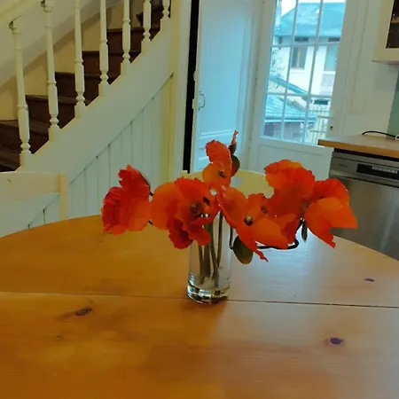 Holiday home Comfort With Garden